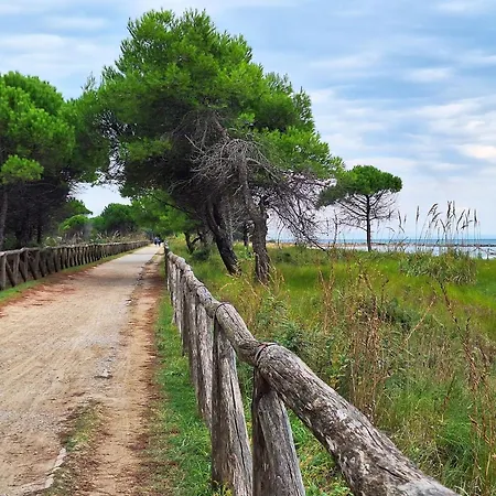 Apartment Bright Seafront Flat In With Side Sea View Bibione