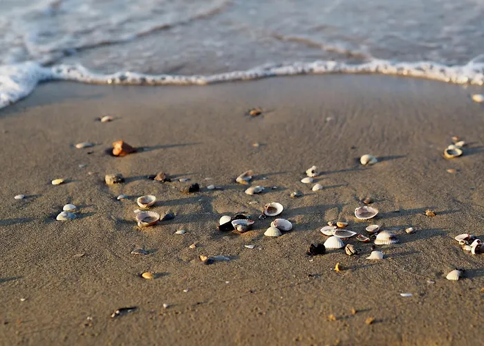 Seafront Luminous Flat In Bibione-beahost *