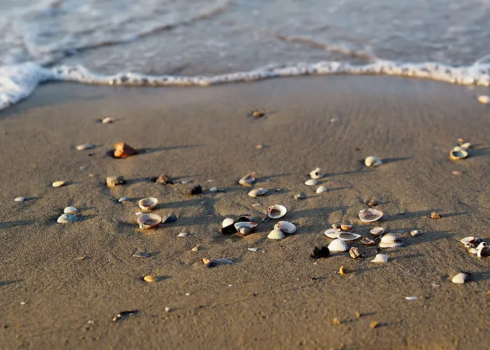 Seafront Luminous Flat In Bibione-beahost 비비오네
